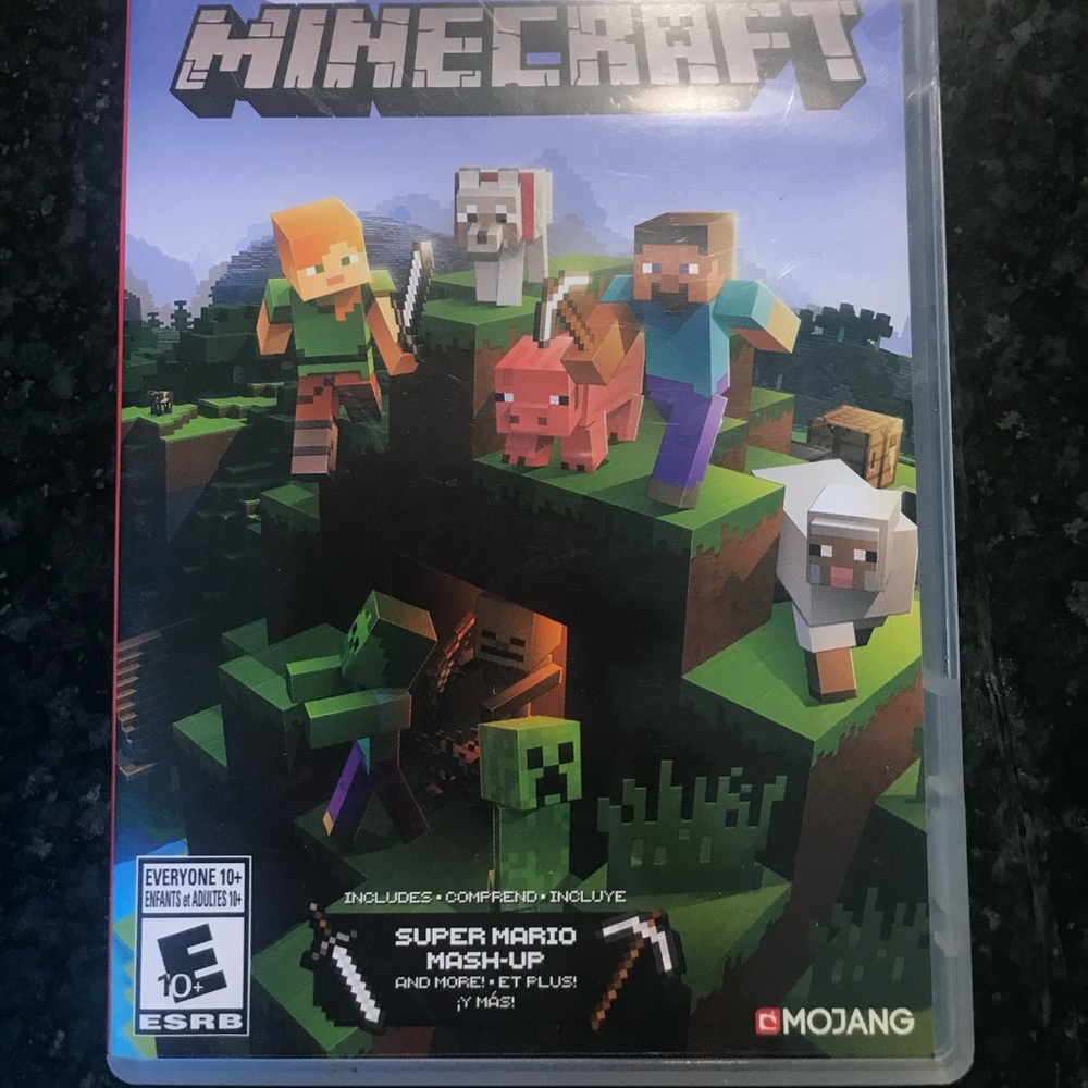 Minecraft Nintendo switch game